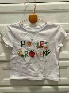 Secondhand Toddler T-Shirts (3 pieces)