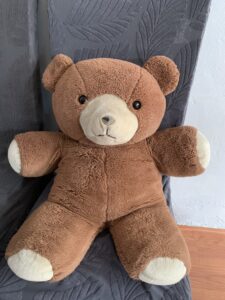 Large Teddy Bear