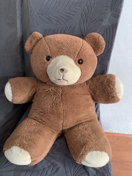 Large Teddy Bear