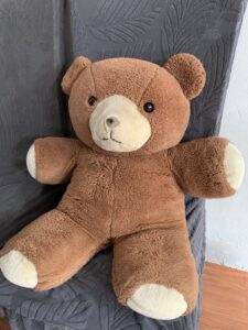 Large Teddy Bear