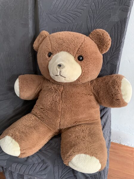 Large Teddy Bear