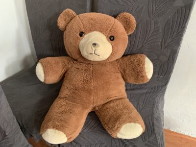 Large Teddy Bear