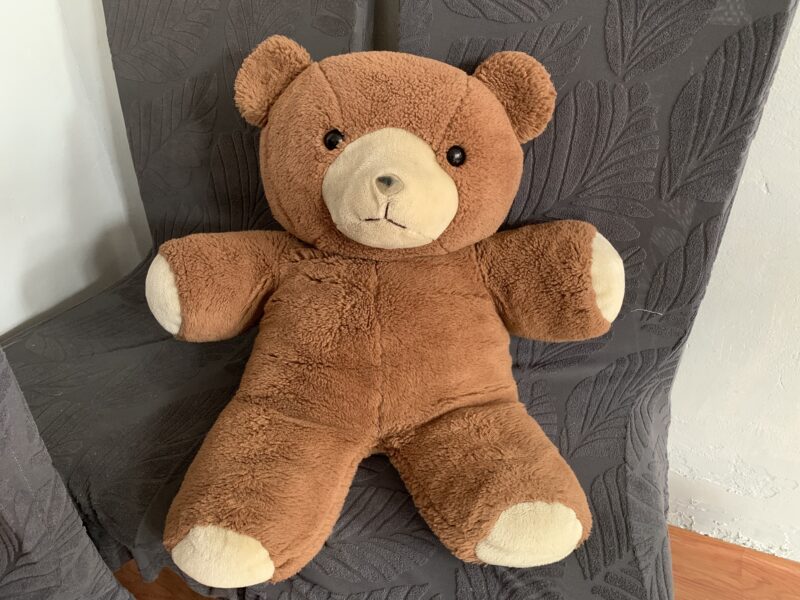 Large Teddy Bear